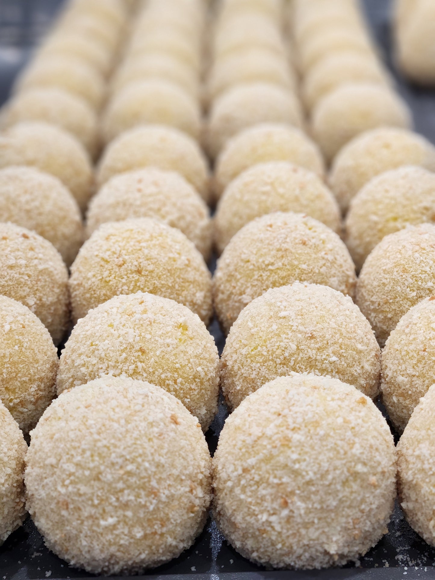Arancini Eggplant Parmigiana (Vegetarian)